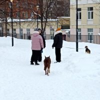 Возле дома моего. :: Владимир Драгунский