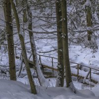 Мостик через ручей в декабре :: Сергей Цветков