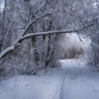 По дороге в зиму :: Вера Ра