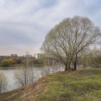 На берегу... :: Владимир Жданов