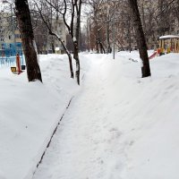 Зима в Москве. :: Владимир Драгунский