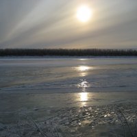 Морозное утро :: Anna Ivanova