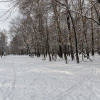 Снежный апрель. :: Виктор Иванович Чернюк