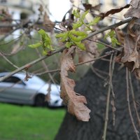 Старое и новое :: Ольга 