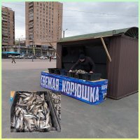 В Петербурге витает запах огурцов! :: Ольга 