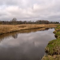 Пока что серенький пейзаж :: Регина 