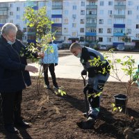 Международный день Земли. :: Венера Чуйкова