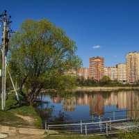 Барышевский пруд. :: Петр Беляков