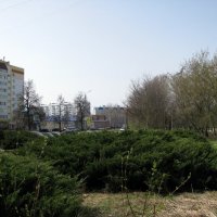 Ранняя весна в Мценске. :: Владимир Драгунский
