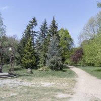 Природа Гагаринского парка :: Валентин Семчишин