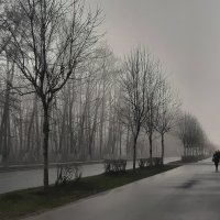 На главной улице в тумане :: Олег Загорулько