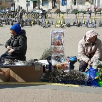 Вербное воскресенье :: Наталья Герасимова