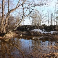 Зеленогорск :: Наталья Герасимова