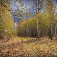 "Этот пронизывающий весенний свет Пасхи"© :: Владимир Макаров