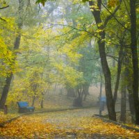 В парке осеннем..... :: Юрий Цыплятников