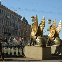 Знаменитые петербургские грифоны. Банковский мост на канале Грибоедова :: Анастасия Смирнова