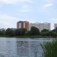 Александровка, лето, конаково :: Strannik M