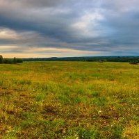 В области :: Пасечник 