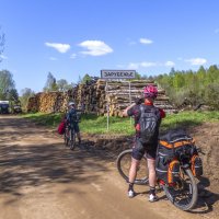 Так скорей снимай,снимай меня фотограф... :: Сергей Цветков