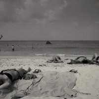 The beach :: Sasha K