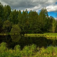 Майское утро 9 :: Андрей Дворников