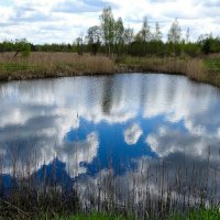 Моя Смоленщина (репортаж из поездок по области). :: Милешкин Владимир Алексеевич 