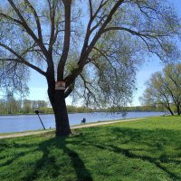 На берегу Ижоры :: Мария Васильева