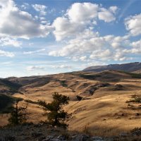 Алтайские пейзажи :: Елена Даньшина