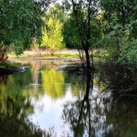 Дорога скрылась под  высокой водой. :: Восковых Анна Васильевна 