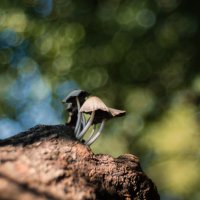 Летним утром во дворе. :: Анатолий Щербак