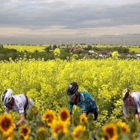 Вело-маршрут в Sachsen -Anhalt :: irina Schwarzer 