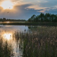 Закатным вечером на Лебяжьем озере. :: Виктор Евстратов