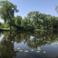 Спокойная вода… :: Любовь 