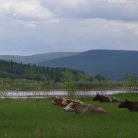 Пастораль :: Вера Литвинова