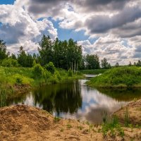 Июньское утро :: Андрей Дворников