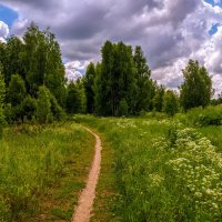 По дороге с облаками .... :: Андрей Дворников