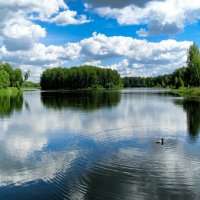 Наше лето. :: Милешкин Владимир Алексеевич 