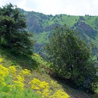 ДОЛИНА КУЛОСЬИ. :: Виктор Осипчук