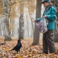 Осенние угощения. :: Анатолий Щербак