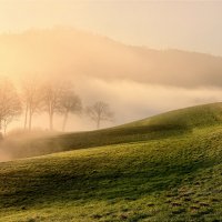 misty morning :: Elena Wymann