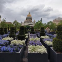 Цветущий сад на Синем мосту. :: Ольга 