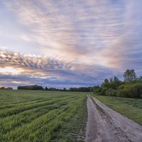 Утренняя дорога :: Сергей Цветков