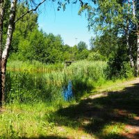 Июнь :: Милешкин Владимир Алексеевич 