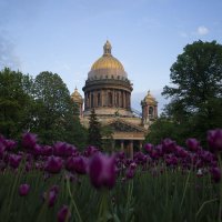 Исаакиевский собор :: Елена Агеева