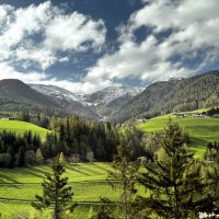 Италия SüdTirol Gärten von Schloss Trauttmansdorf in Meran Übersich :: "The Natural World" Александер