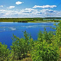 Июнь...Широко разлились обские воды! :: Владимир 