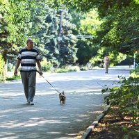 Большой и маленький :: Юрий Гайворонскiий