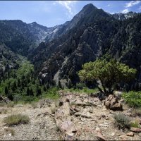 Ущелье Big Cottonwood Canyon :: **** vedin