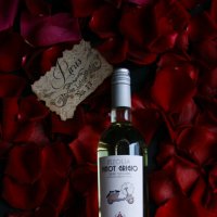 Pinot. Grigio :: Юлия Бабаева