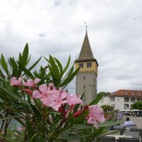 Lindau :: Галина 